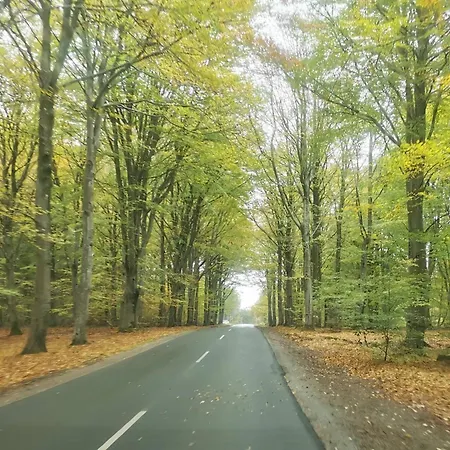 Luxury Pool Retreat In Henne - By Traum Сasa de vacaciones Henne Strand